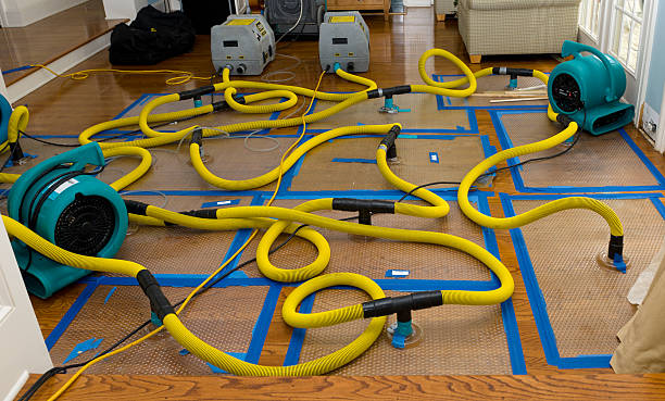 Professional Structural Drying And Dehumidification technician working in Horse Creek, WY