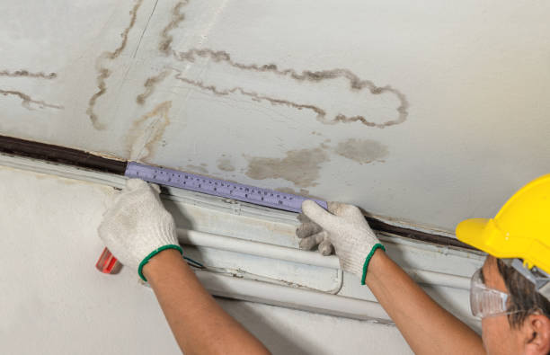 Affordable Water Damage Repair solutions in Horse Creek, WY